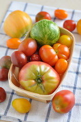 Alte Tomaten Sorten