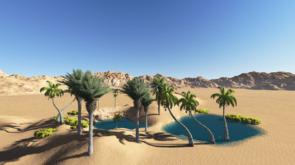Oasis