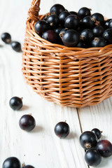 black currants in a wicker basket