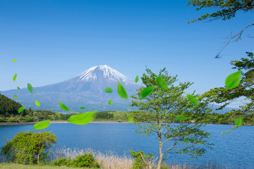 富士山と舞い散る葉っぱ