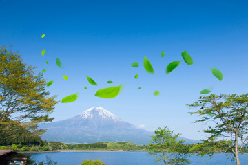 富士山と舞い散る葉っぱ