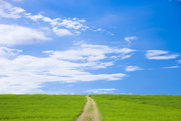 草原と道と青空