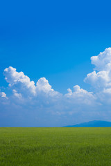 草原と青空