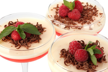 fruit jelly with chocolate and raspberries in glasses isolated