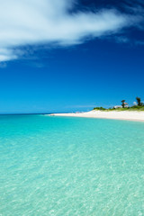 白く輝く前浜ビーチ