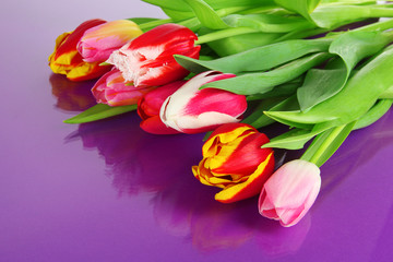 Beautiful tulips in bucket on purple background