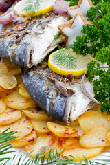 Fish - grilled sea bream with baked potatoes