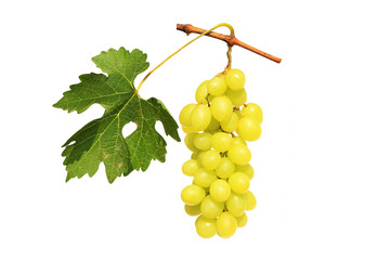 Grape cluster