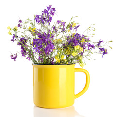 Beautiful bouquet of wildflowers in cup, isolated on white