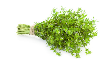 Bunch of fresh Thyme herbs /  isolated on white
