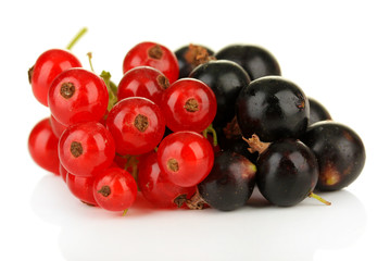Red and black currant isolated on white