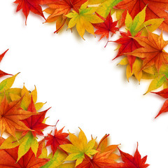 紅葉　もみじ　秋 フレーム