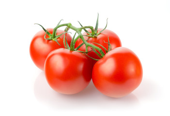 Tomatoes