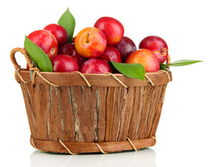 Ripe plums in basket isolated on white