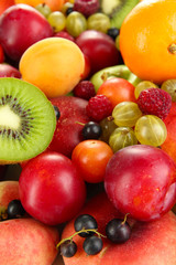 Assortment of juicy fruits   background