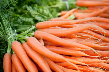 frische knackige karotten möhren nahaufnahme