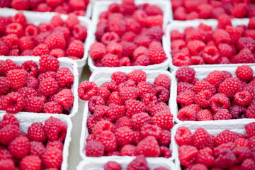frische süße rote himbeeren auf dem markt im sommer
