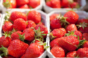 frische süße rote erdbeeren im sommer auf dem markt