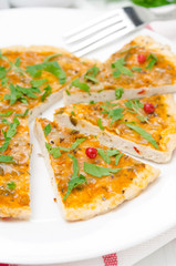 closeup of slices of chicken pizza with tomato sauce, cheese