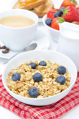 homemade muesli with blueberries, berries, cappuccino and milk