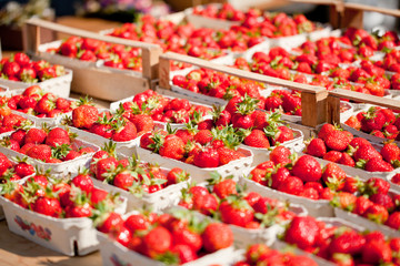 frische süße rote erdbeeren im sommer auf dem markt