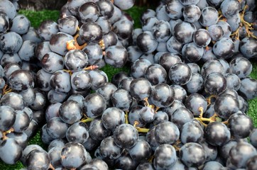 Grapes