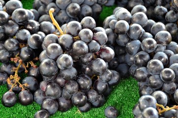 Dark red grapes at the market