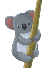 Fototapeta premium koala cartoon character