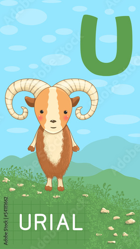 "Letter U, animal ABC" Stock image and royalty-free vector files on