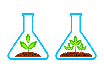 Plant in laboratory glass