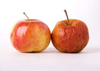 apples, young and old as a metaphor for aging.  white background