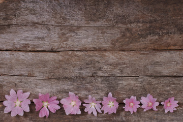 Flower festive frame of pink mallow flowers on a wooden table