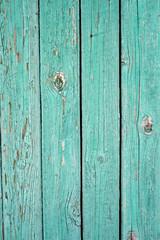 old green plank fence