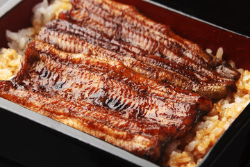 鰻の蒲焼き