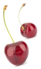 Cherry isolated on white background
