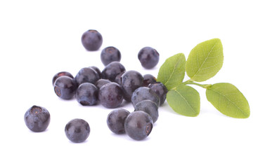 Fresh blueberries isolated on white background