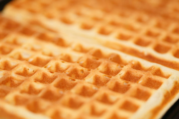 Sweet belgian waffles as background
