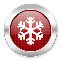 snowflake icon