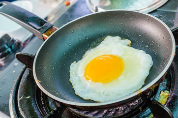 Egg