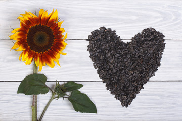 The heart of sunflower seeds and flower on a wooden background