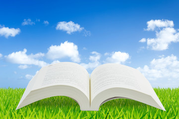 Open book on green grass with blue sky