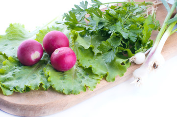 fresh vegetable salad in a plate over white