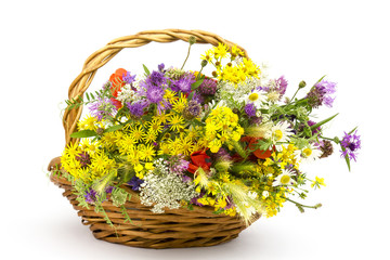 Fototapeta premium wild flowers in a basket
