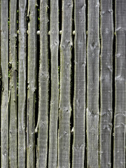 Fototapeta premium Palissade en bois