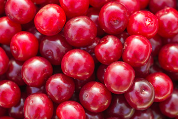 red fresh cherry