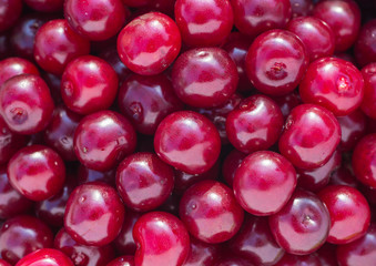 red fresh cherry
