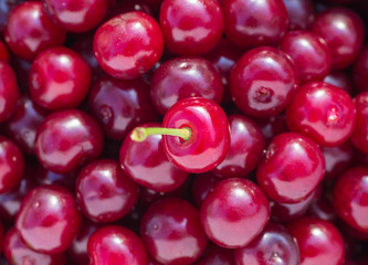 red fresh cherry