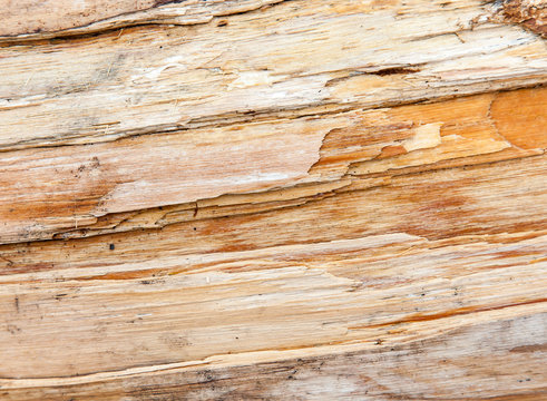 Rough piece of wood texture