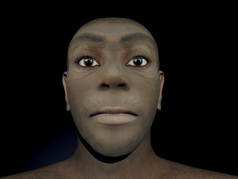 Homo erectus female - 3D render
