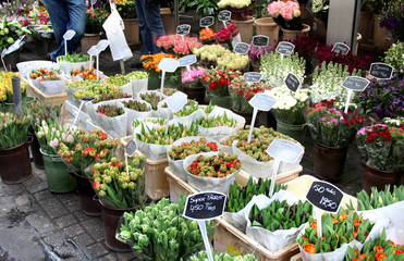 Naklejka premium Flower market
